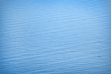 Image showing sea