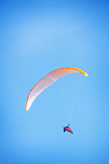 Image showing paraglider