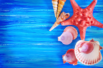 Image showing sea shells on blue board