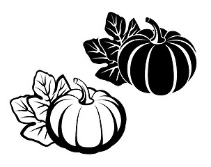 Image showing Pumpkins with leaves. Vector black silhouette.