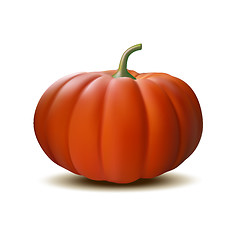 Image showing Orange realistic pumpkin