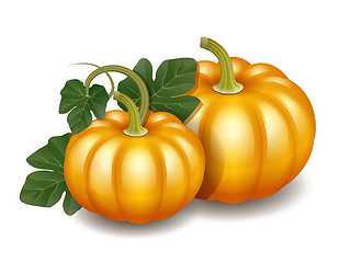 Image showing Two orange autumn pumpkins with green leaves