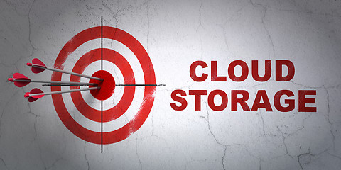 Image showing Privacy concept: target and Cloud Storage on wall background