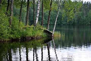 Image showing Forest lake.