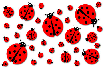 Image showing Many Ladybugs Shadows