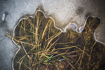 Image showing Melting ice on a pond in spring, close-up