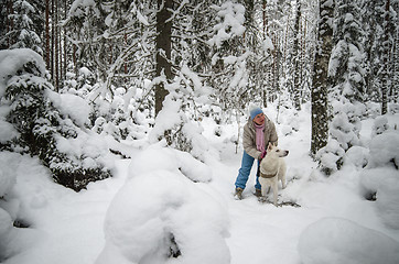 Image showing The woman with a dog on walk in a winter wood