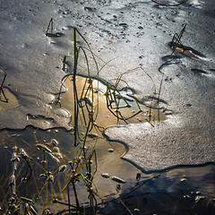 Image showing Melting ice on a pond in spring, close-up