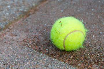 Image showing Single tennis ball