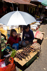 Image showing tradition speciality, roasted jungle rat