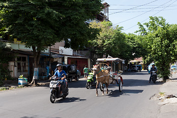 Image showing horse drawn carriage in the streets of Manado