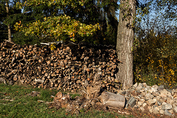 Image showing firewood in pile outdoor