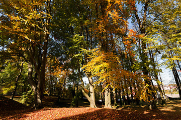 Image showing autumn colors in park