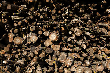 Image showing firewood in pile outdoor