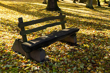 Image showing wooden bench in the park