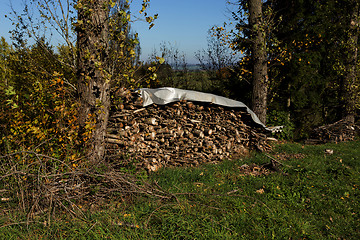 Image showing firewood in pile outdoor