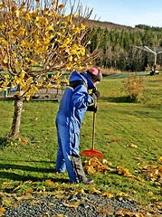 Image showing Senior man gardening