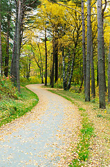 Image showing one little road to the water 