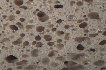 Image showing sponge detail