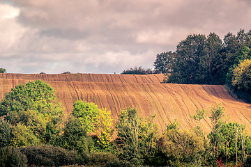 Image showing Harvested hillside fields with green trees