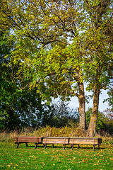 Image showing Park in the autumn with benches