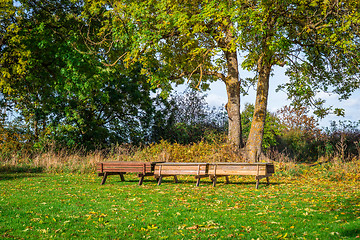 Image showing Benches in a park at autumn