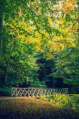 Image showing Autumn scenery with a bridge