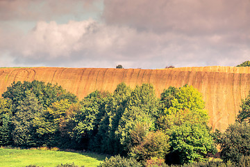 Image showing Agricultural hillside fields with green trees