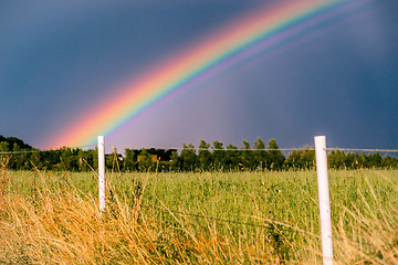 Image showing Rainbow at a field