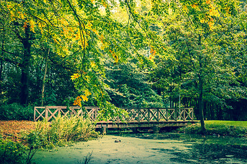 Image showing Bridge in a forest in autumn