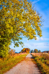 Image showing Autumn landscape with a path