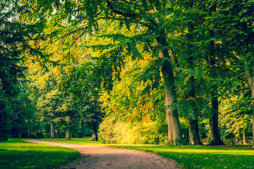 Image showing Road in a park with colorful trees
