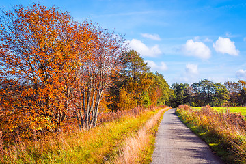 Image showing Trail going through a autumn scenery