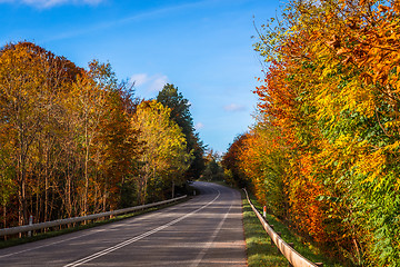 Image showing Colorful trees by a road