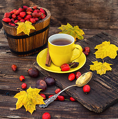 Image showing Autumn rose hips tea