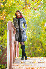 Image showing Young girl leaned on the railing of the bridge against the backdrop of autumn leaves yellow