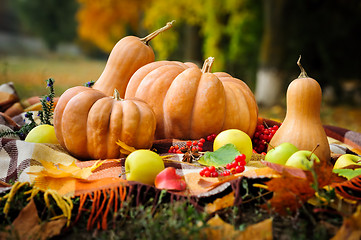 Image showing Autumn thanksgiving still life with pumpkins
