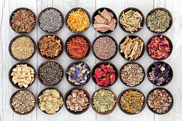 Image showing Herbal Medicine