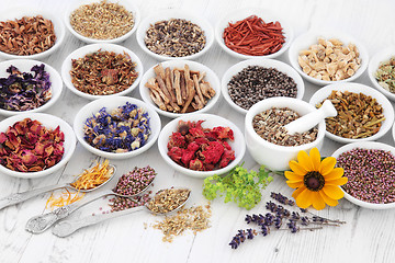 Image showing Apothecary Flowers and Herbs