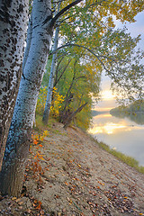 Image showing Siret river in autumn forest
