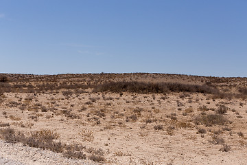 Image showing kgalagadi transfontier park