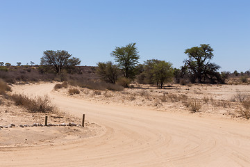 Image showing road in Kgalagadi transfontier park