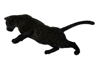 Image showing Big Cat Black Panther