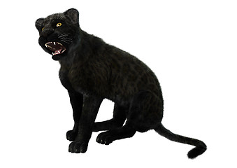 Image showing Big Cat Black Panther