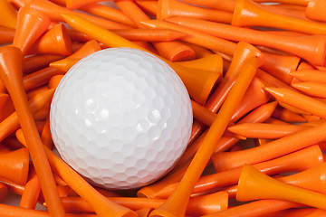 Image showing White golf ball lying between wooden tees
