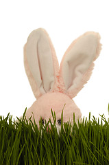 Image showing Easter bunny