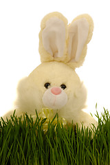 Image showing Easter bunny