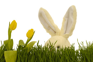 Image showing Tulips and easter bunny