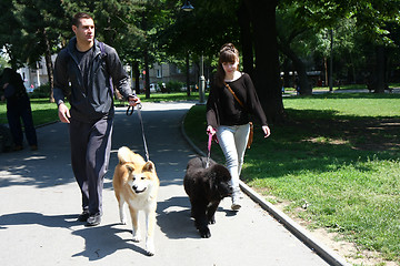 Image showing Walking with puppies