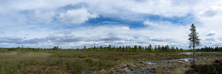 Image showing Wide Land in Finland